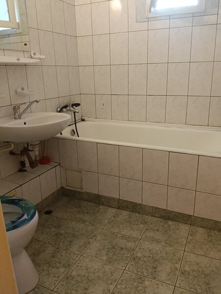 Teiul Doamnei
