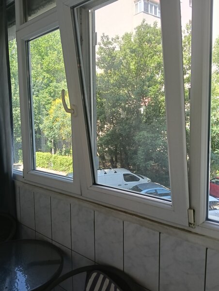 Teiul Doamnei