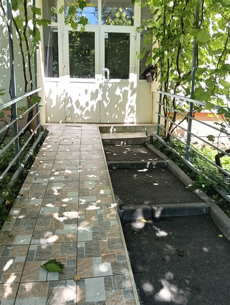Teiul Doamnei
